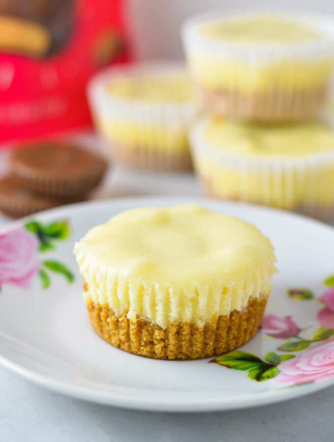 Mini Peanut Butter Cup Cheesecakes