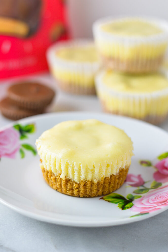 Mini Peanut Butter Cup Cheesecakes