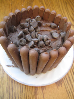 Easy Mini Chocolate Fingers Layer Cake recipe. Make it for yourself or someone special for their birthday dessert.