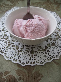 Vegan Coconut Raspberry Ice Cream