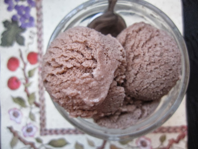 Chocolate Frozen Yogurt with Greek Yogurt 