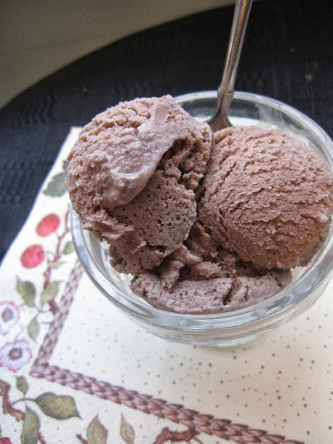 Chocolate Frozen Yogurt with Greek Yogurt 