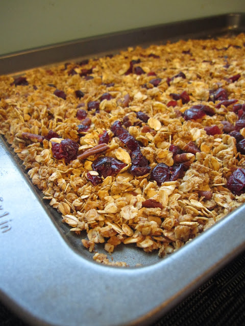 This pecan cranberry granola is one of my favorite granola recipes! It has everything you want: sweet, salty, crunchy.. and delicious.