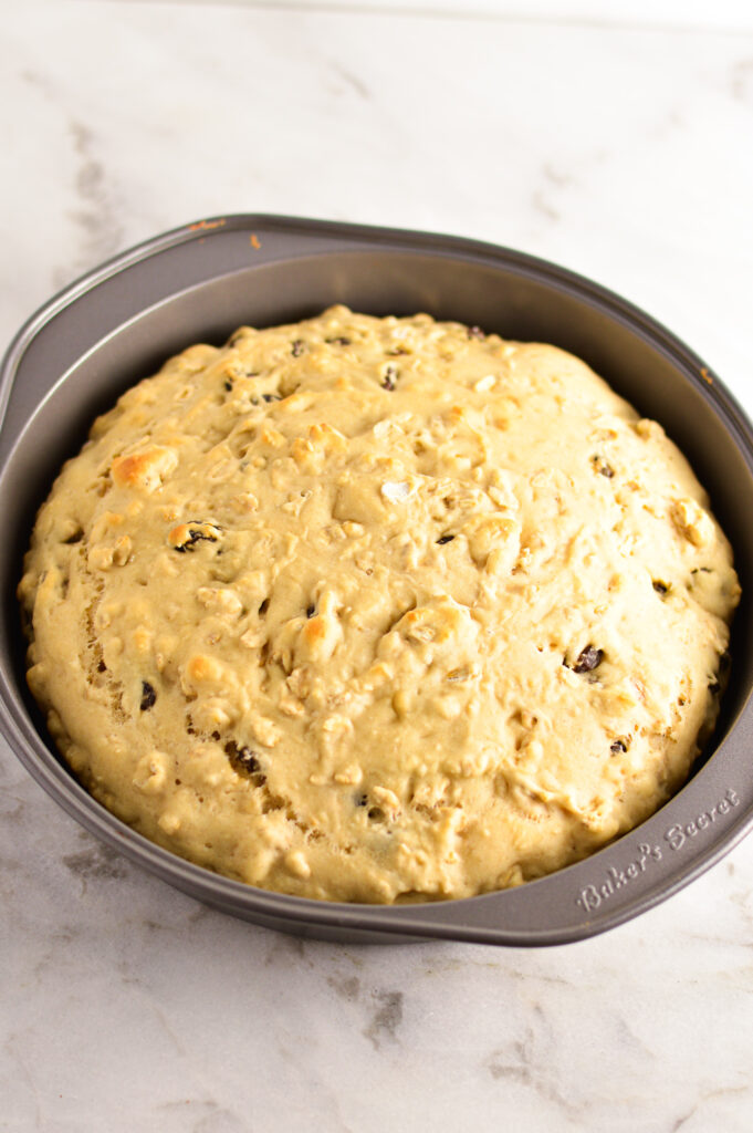 Raisin and Oat Scones