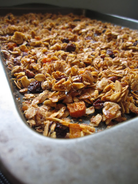 This Raisin and Apricot Granola is one of my favourite granola recipes. Made with dried apricots, honey and pecans, this makes a great breakfast recipe. 