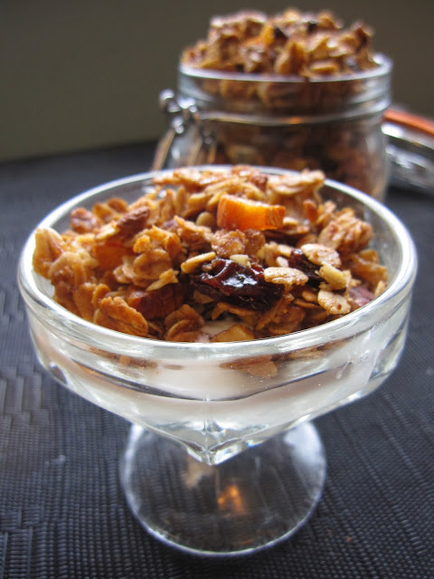 This Raisin and Apricot Granola is one of my favourite granola recipes. Made with dried apricots, honey and pecans, this makes a great breakfast recipe. 