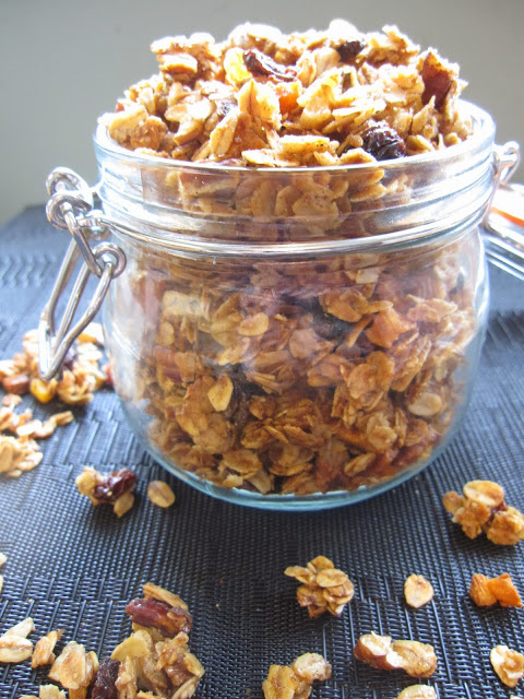 This Raisin and Apricot Granola is one of my favourite granola recipes. Made with dried apricots, honey and pecans, this makes a great breakfast recipe. 