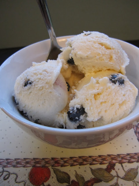 This Blueberry Pudding Ice Cream is only made with 6 ingredients. So rich and creamy, just mix it, put it in your ice cream maker and you're done.