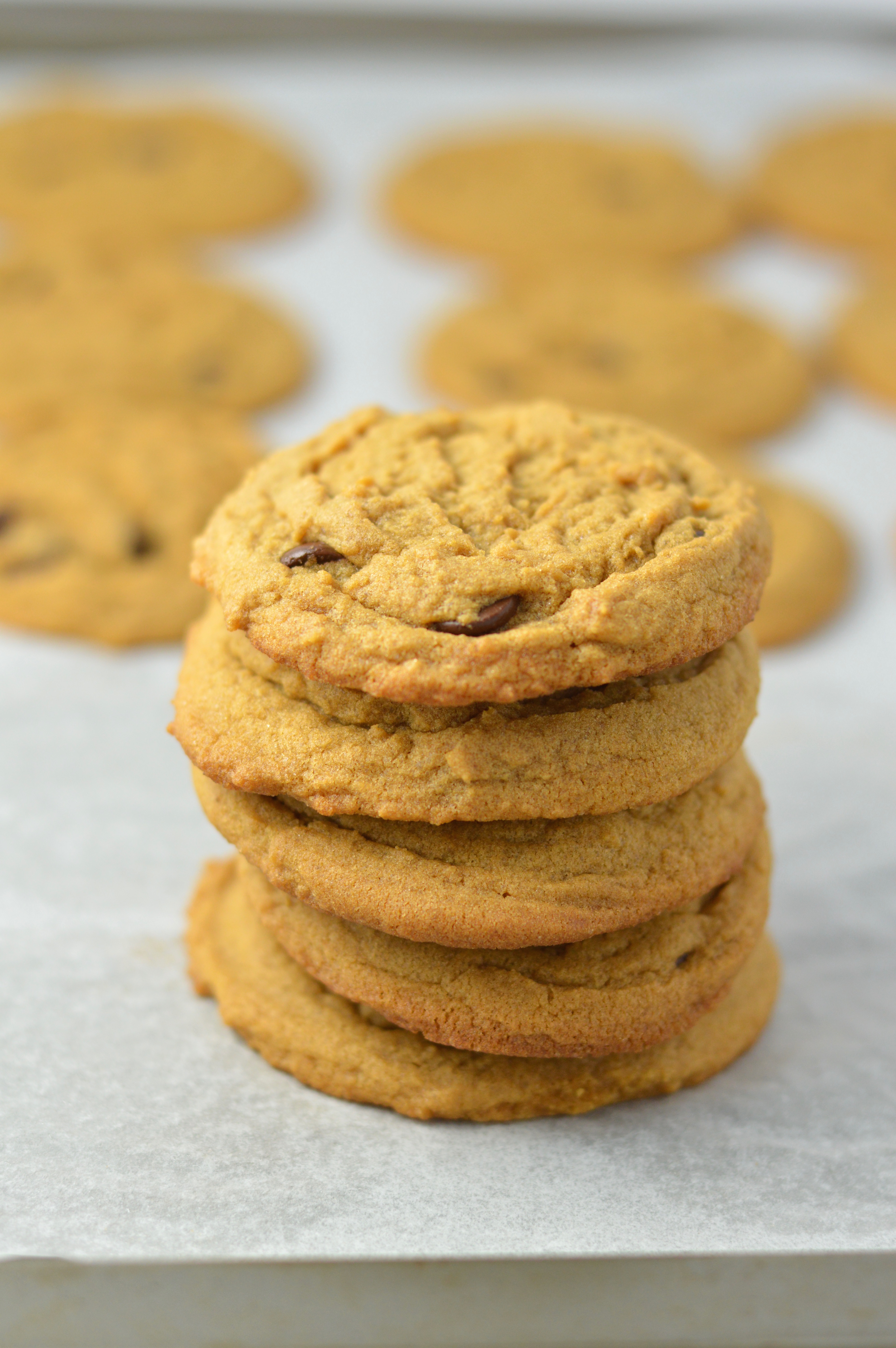 Molasses Chocolate Chip Cookies | A Taste Of Madness