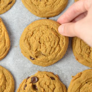 Simple Molasses Chocolate Chip Cookies make the perfect snack or dessert. Such a quick and easy recipe, it will become your new favourite.