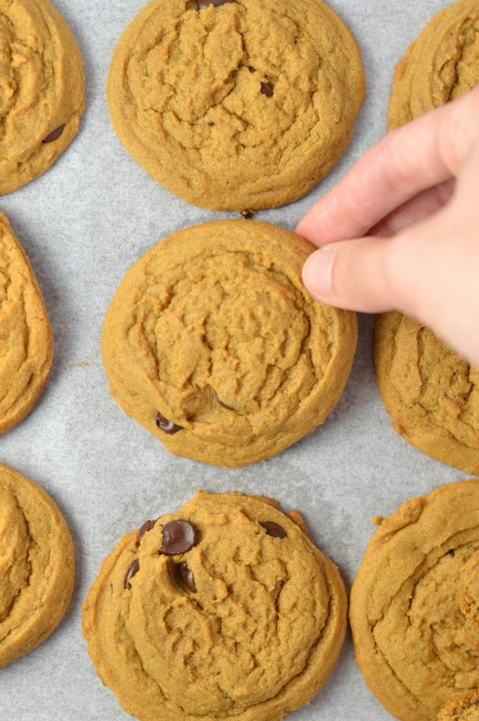 Simple Molasses Chocolate Chip Cookies make the perfect snack or dessert. Such a quick and easy recipe, it will become your new favourite.