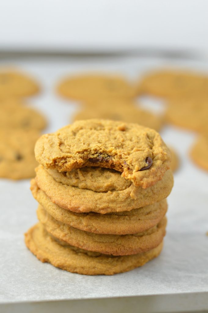 Simple Molasses Chocolate Chip Cookies make the perfect snack or dessert. Such a quick and easy recipe, it will become your new favourite.