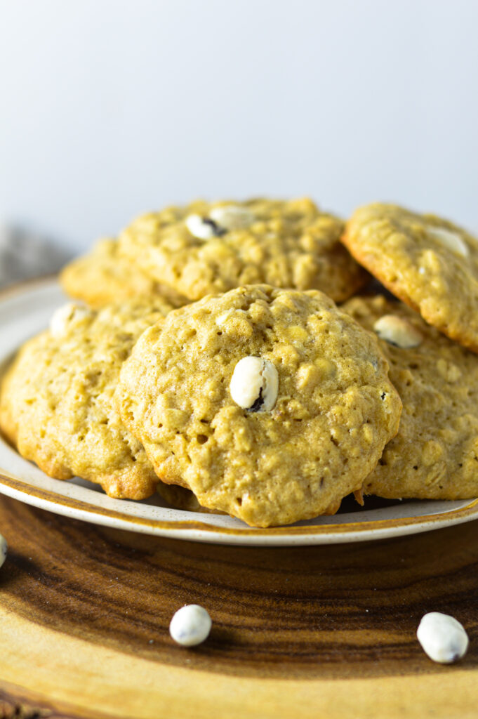 Oatmeal Yogurt Raisin Cookies