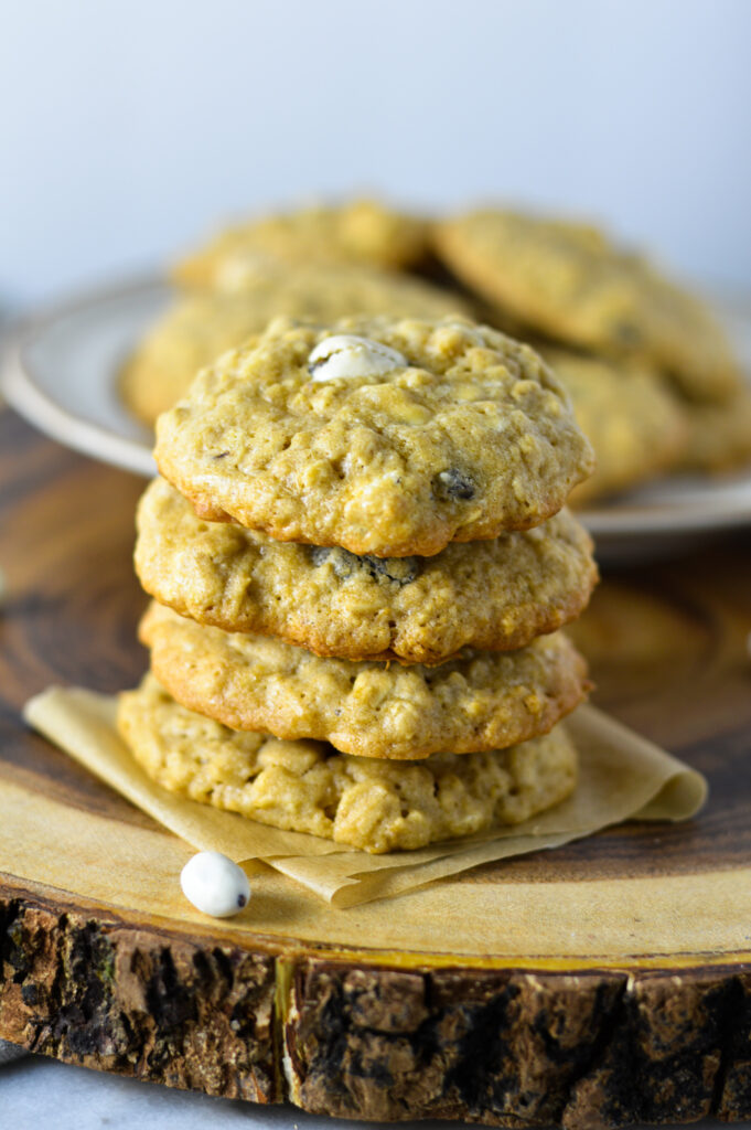 Oatmeal Yogurt Raisin Cookies