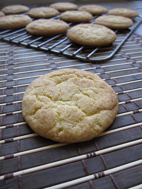  You can't have too many snickerdoodle recipes. These Vanilla Bean Snickerdoodles are soft and chewy with the perfect cinnamon sugar topping.