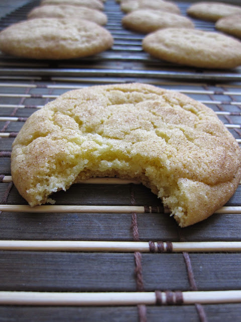  You can't have too many snickerdoodle recipes. These Vanilla Bean Snickerdoodles are soft and chewy with the perfect cinnamon sugar topping.