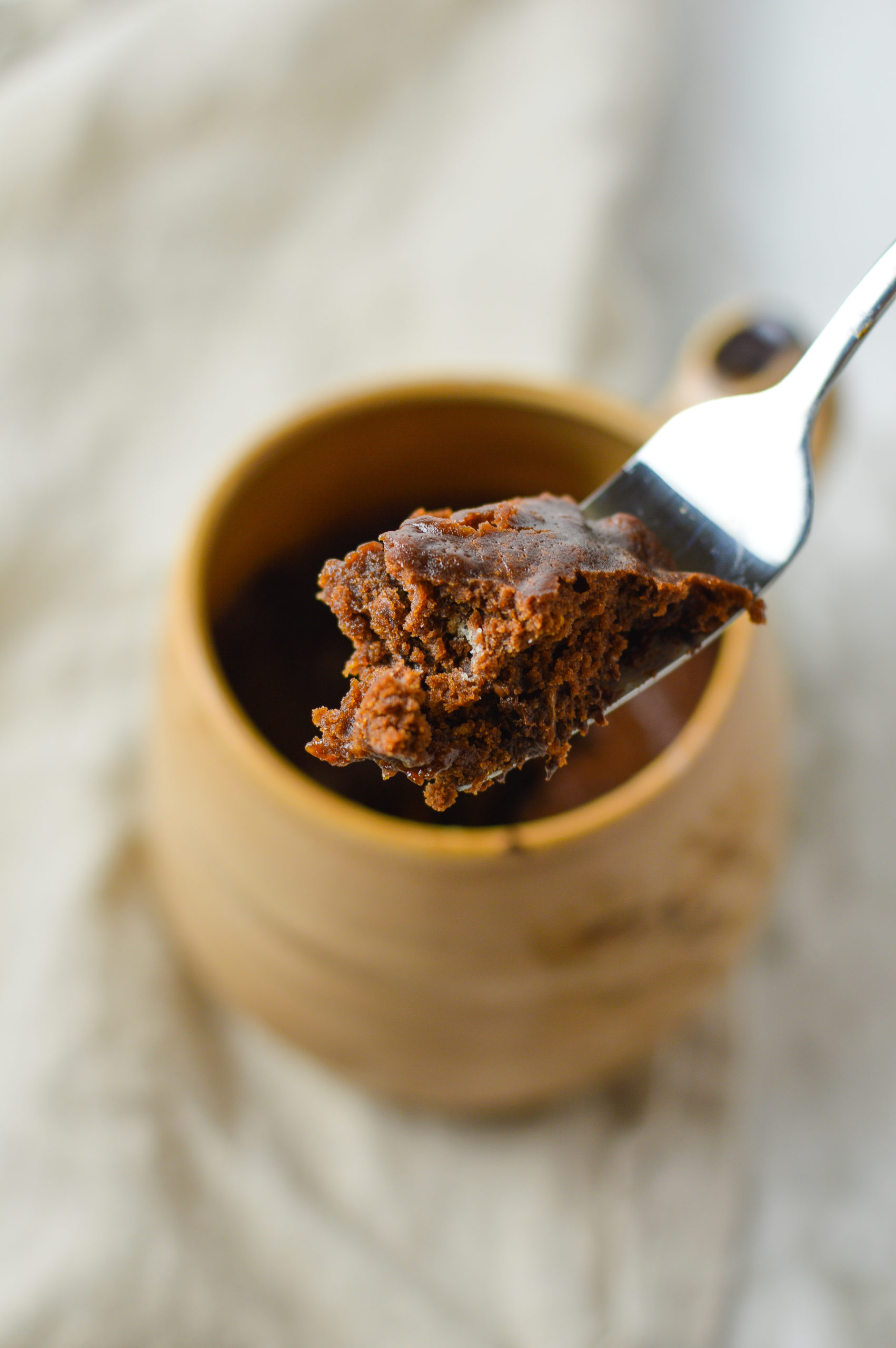 4 Ingredient Chocolate Mug Cake | A Taste of Madness