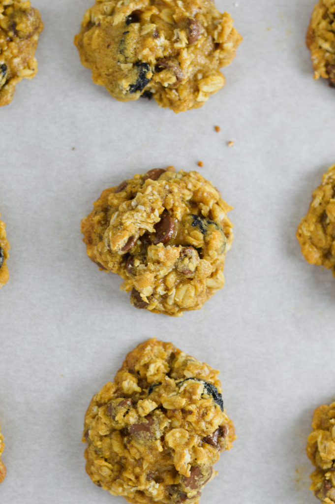 Oatmeal Raisin Chocolate Chip Cookies