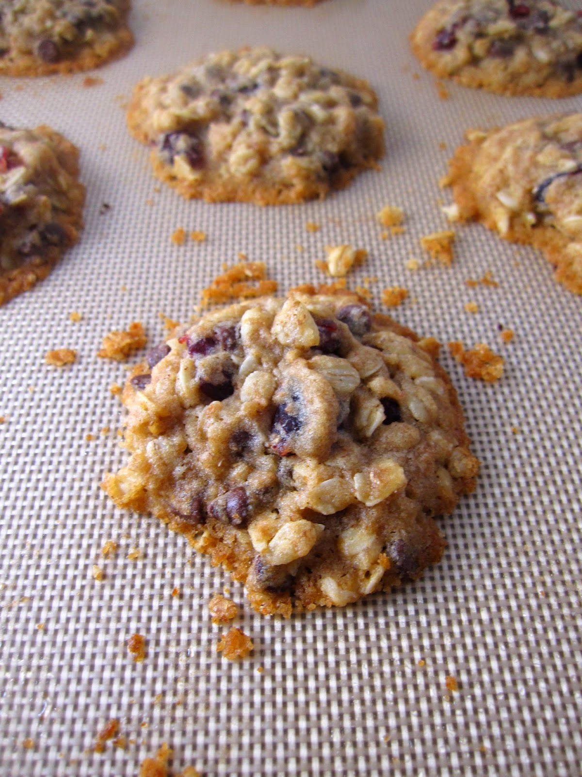 These chewy Whole Wheat Cranberry Oatmeal Chocolate Chip Cookies make the perfect dessert or snack. One of my favourite cookie recipes.