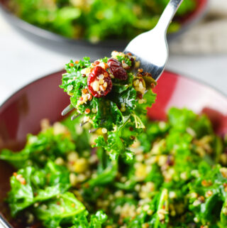 Kale, Quinoa and Cranberry Salad