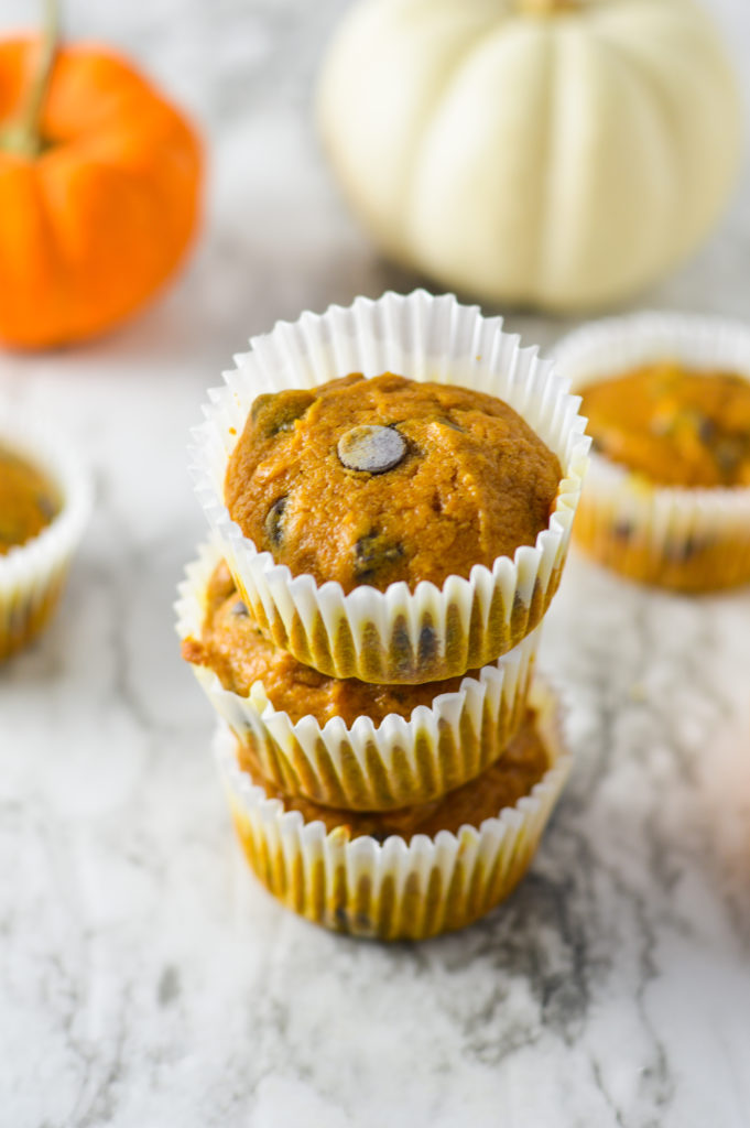 Pumpkin Chocolate Chip Muffins