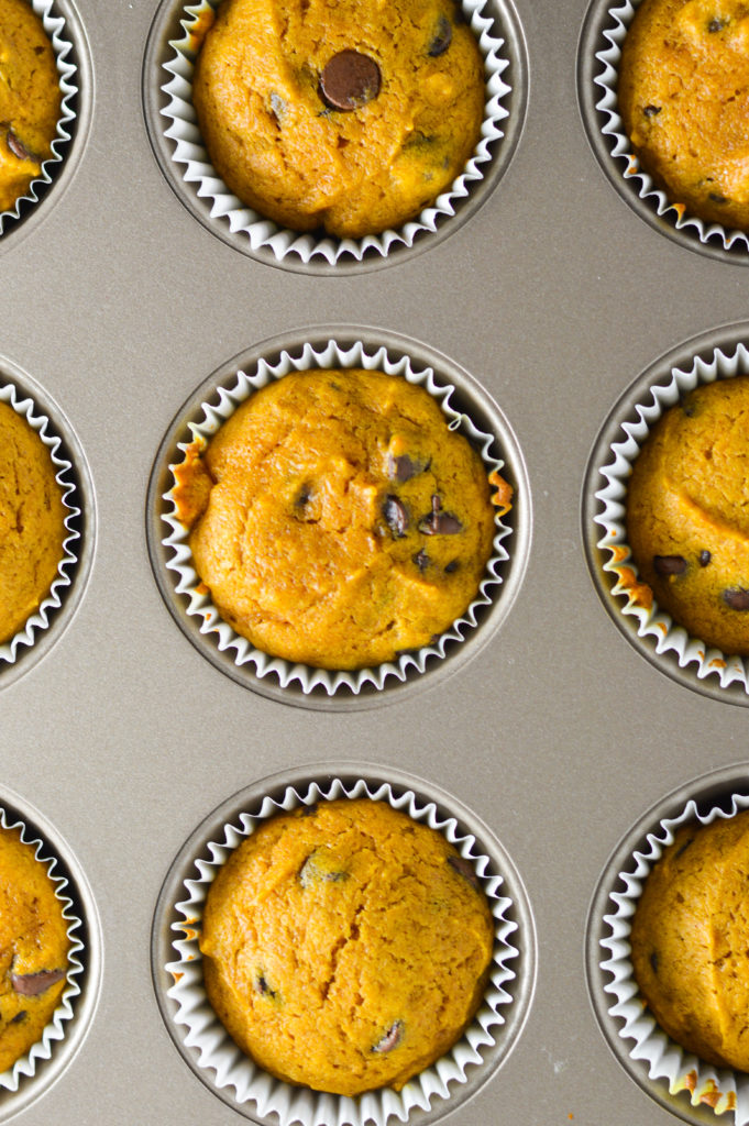 Pumpkin Chocolate Chip Muffins