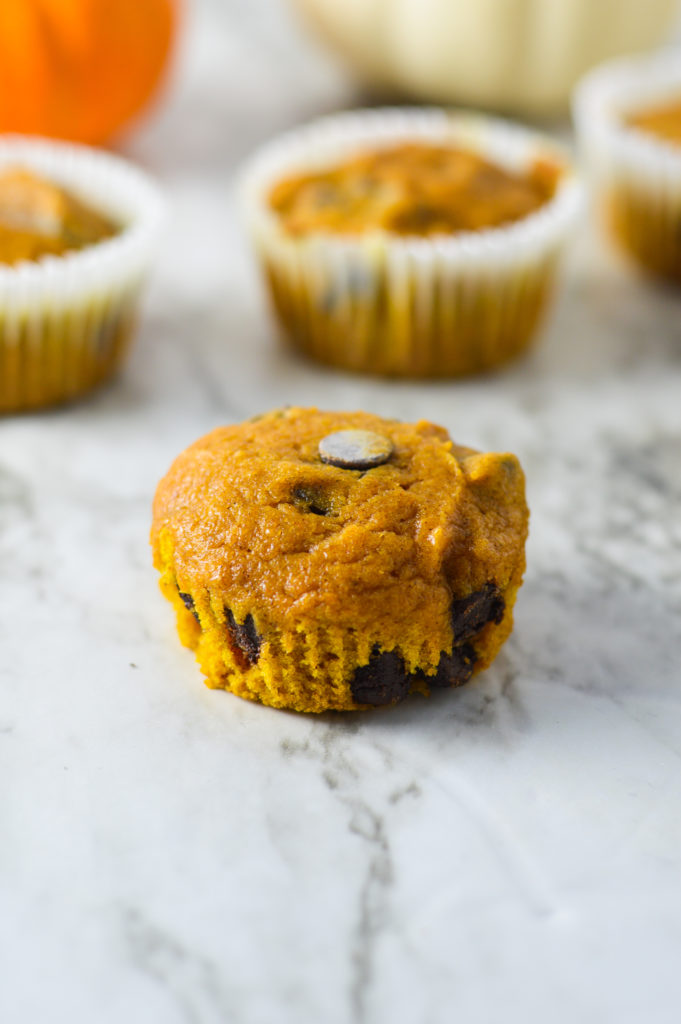 Pumpkin Chocolate Chip Muffins