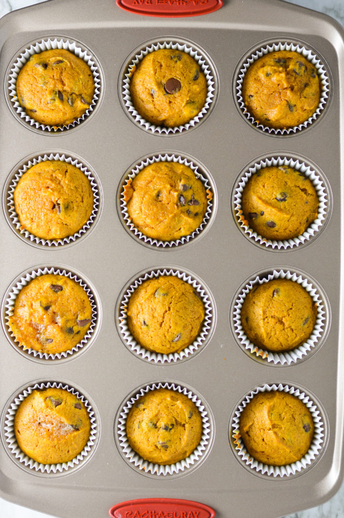 Pumpkin Chocolate Chip Muffins