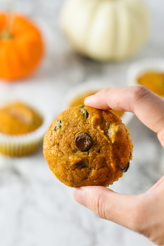 Pumpkin Chocolate Chip Muffins