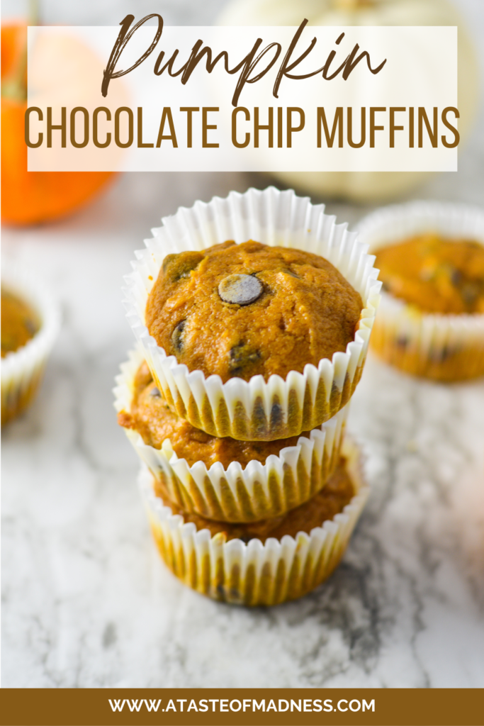 Pumpkin Chocolate Chip Muffins