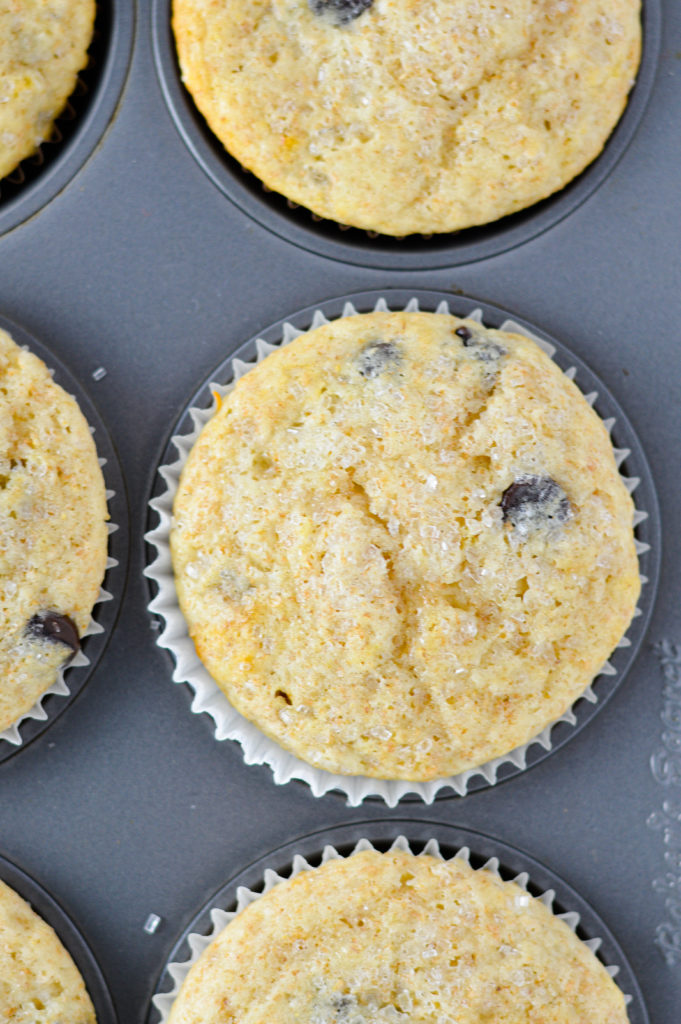 Whole Wheat Chocolate Chip Muffins