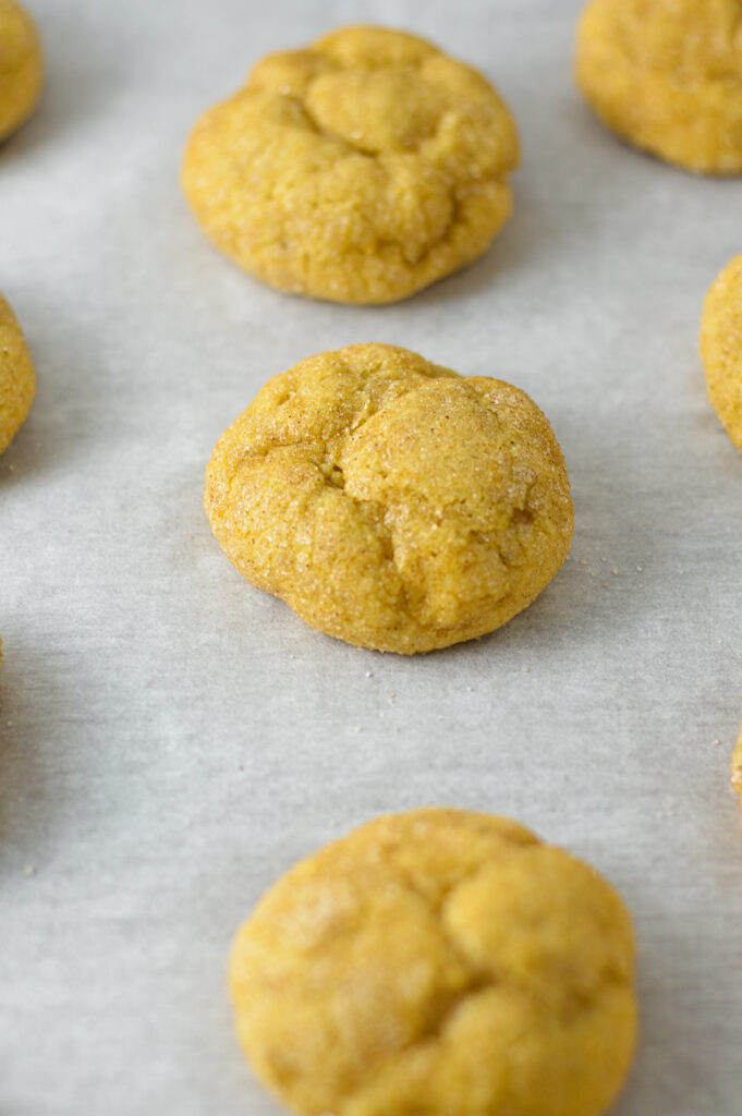 Pumpkin Snickerdoodles