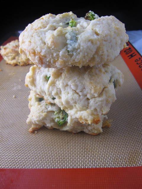 These jalapeno and mozzarella biscuits are made with coconut milk, are deliciously flaky and so easy to make!