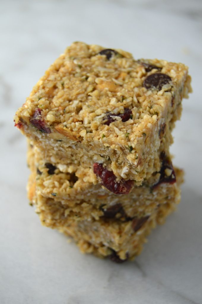 No Bake Hemp Hearts and Coconut Squares