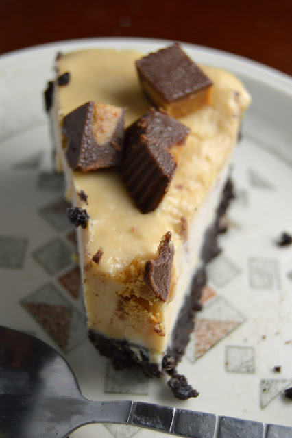 Peanut Butter Frozen Cheesecake