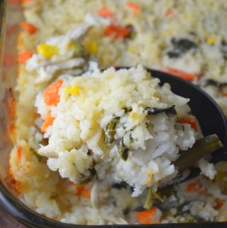 Here is a quick and easy freezer meal for those busy weeknights. Loaded with all of your favourite vegetables.