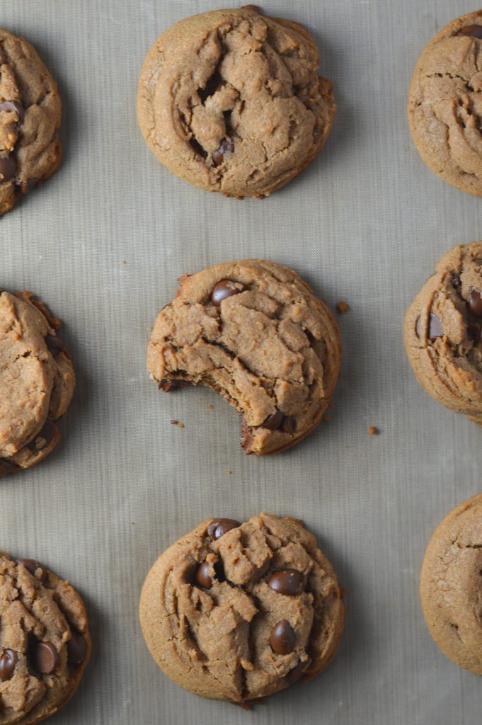 Chewy Nutella Chocolate Chip Cookies. Super soft and easy to make, this is the only Nutella Cookie recipe you will ever need.