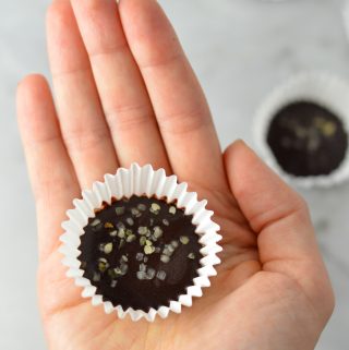 Hemp Heart Fudge Bites