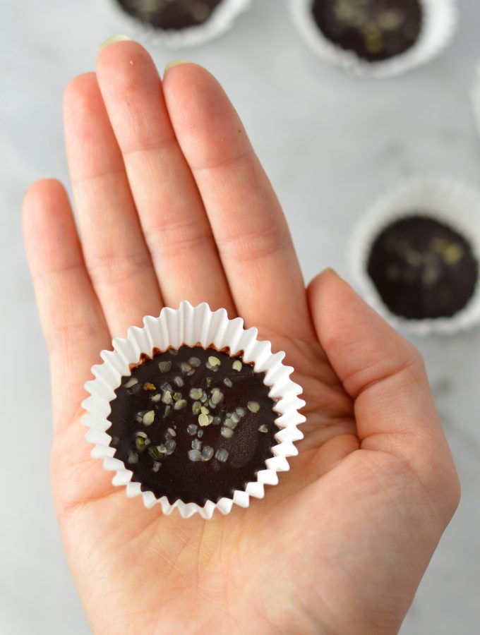 Hemp Heart Fudge Bites