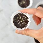 Hemp Heart Fudge Bites