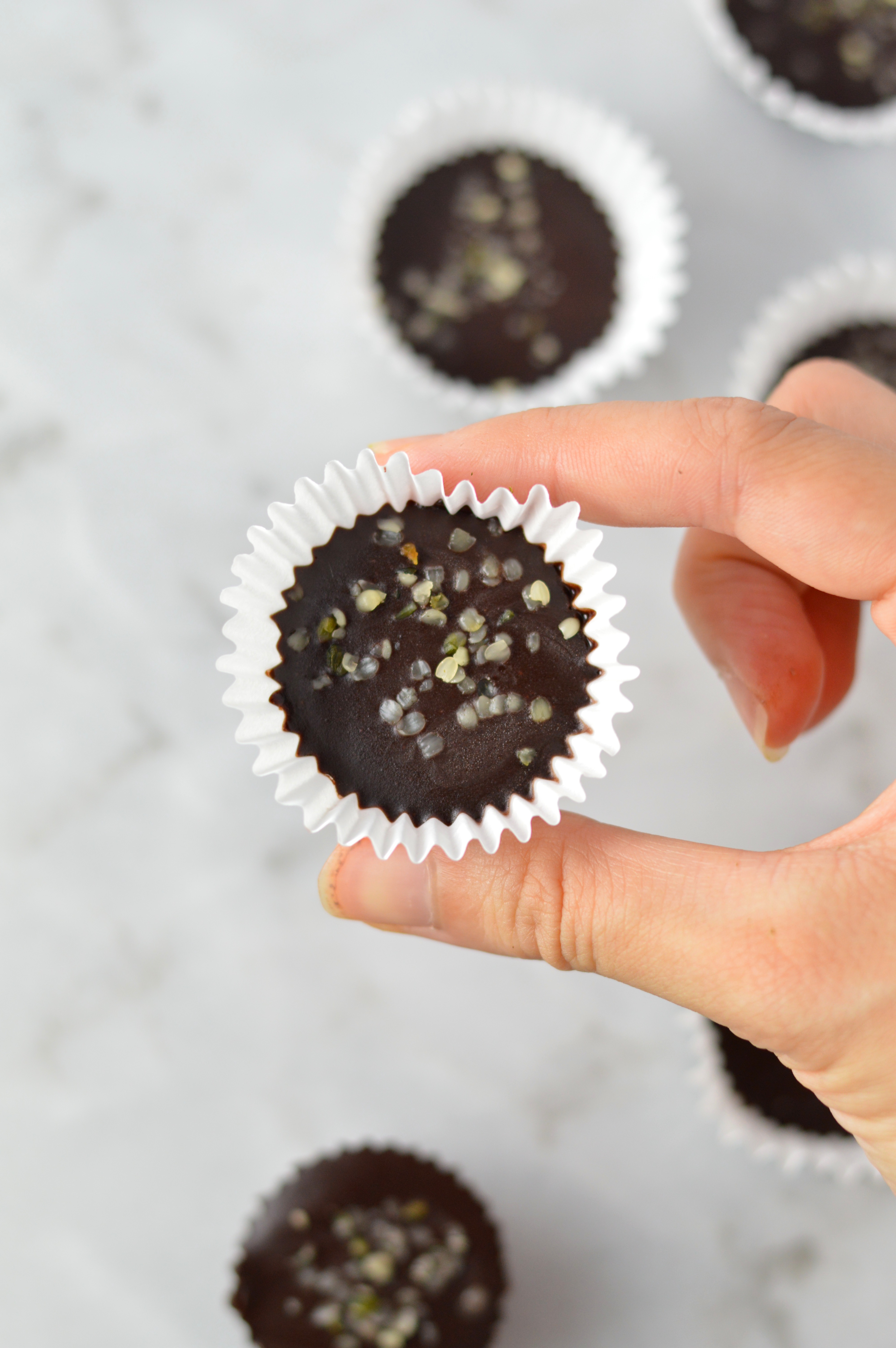 Hemp Heart Fudge Bites