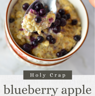 Blueberry Apple Holy Crap Oatmeal