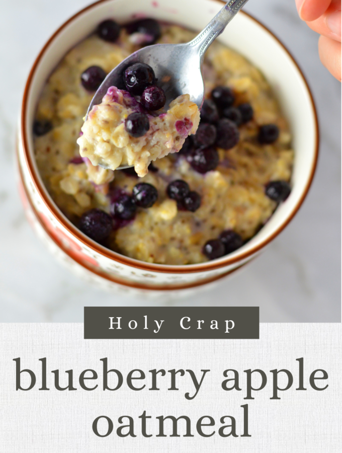 Blueberry Apple Holy Crap Oatmeal