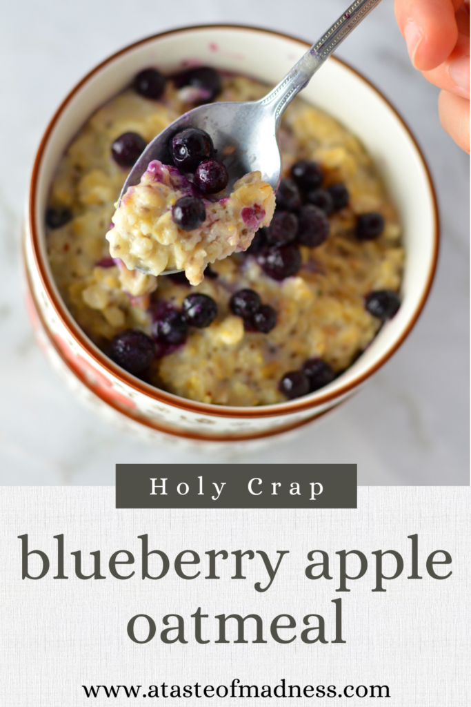 Blueberry Apple Holy Crap Oatmeal