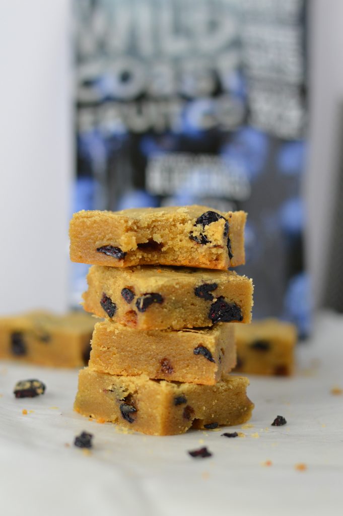 Chewy Dried Blueberry Coconut Oil Blondies recipe. Super quick and easy to make, these are some of the best blondies I have ever made!