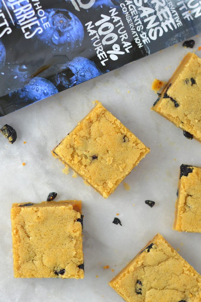 Chewy Dried Blueberry Coconut Oil Blondies recipe. Super quick and easy to make, these are some of the best blondies I have ever made!