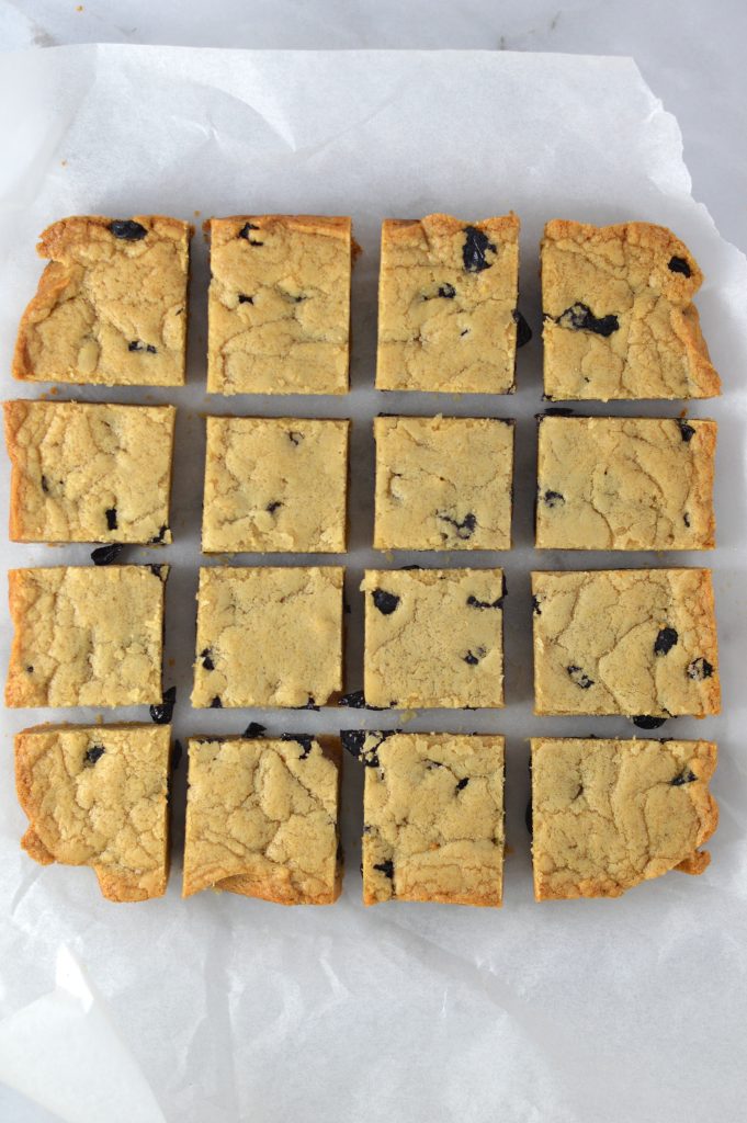 Chewy Dried Blueberry Coconut Oil Blondies recipe. Super quick and easy to make, these are some of the best blondies I have ever made!