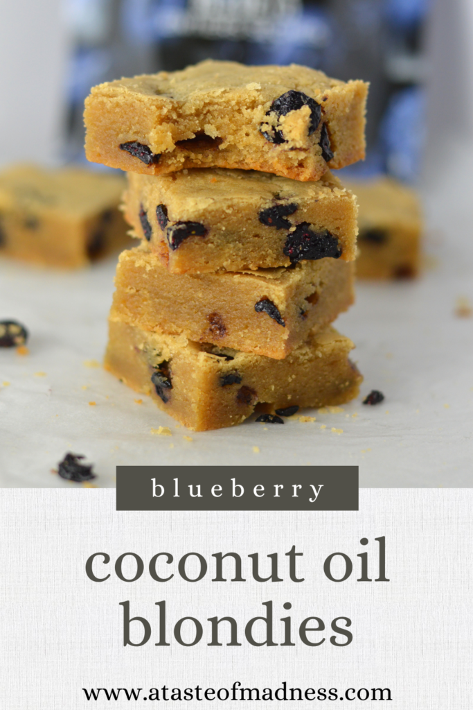 Dried Blueberry Coconut Oil Blondies