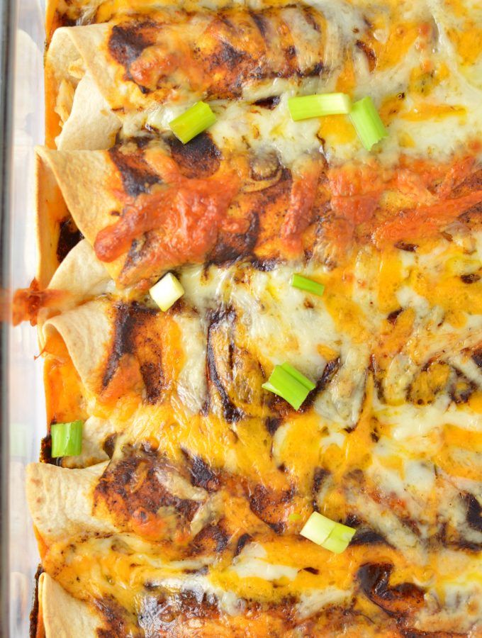 Easy spicy Chicken Enchiladas recipe with homemade enchilada sauce. The ultimate comfort food, it's a great dinner idea to use up your leftover chicken