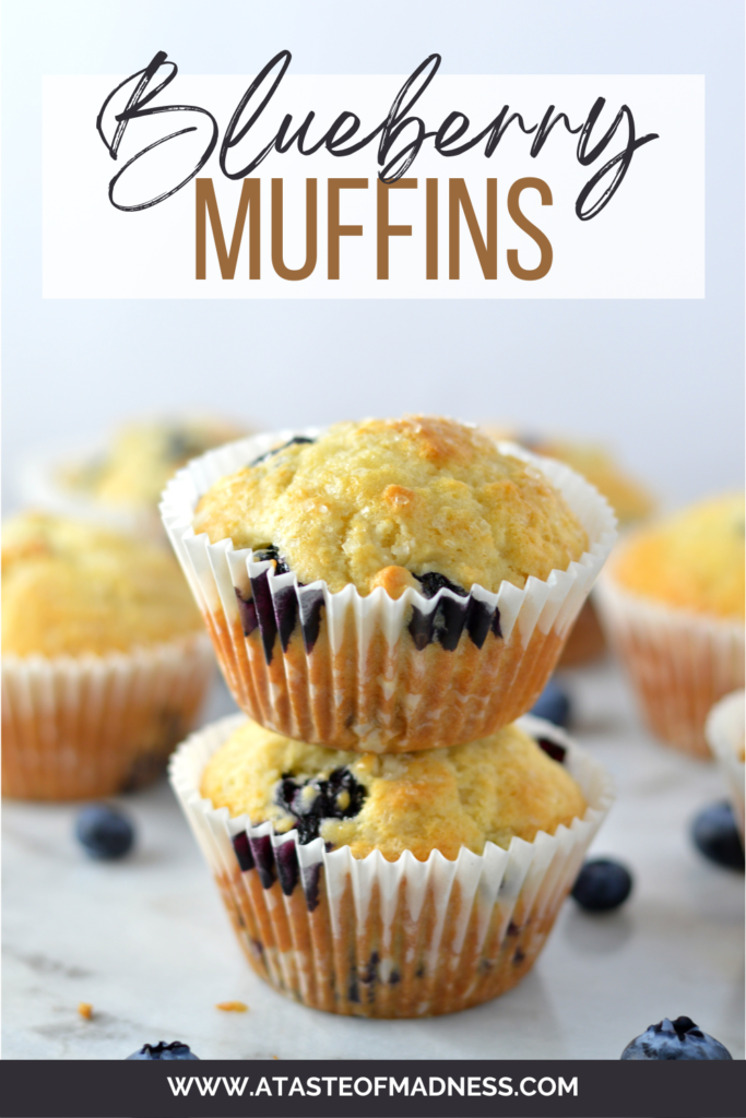 Blueberry Muffins